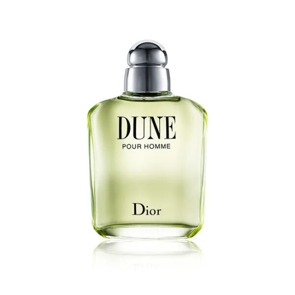 DIOR DUNE HOMME EDT 100ML