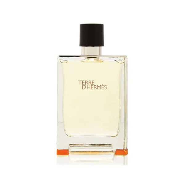 HERMES TERRE D`HERMES MEN EDT 100ML